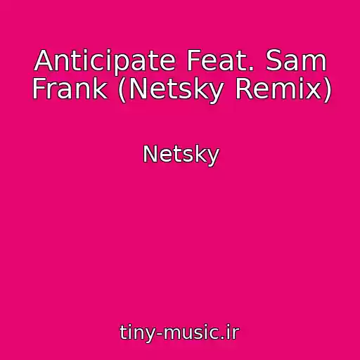 کاور آهنگ Anticipate Feat. Sam Frank (Netsky Remix) از Netsky