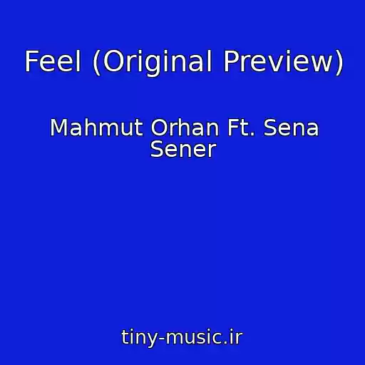 کاور آهنگ Feel (Original Preview) از Mahmut Orhan Ft. Sena Sener