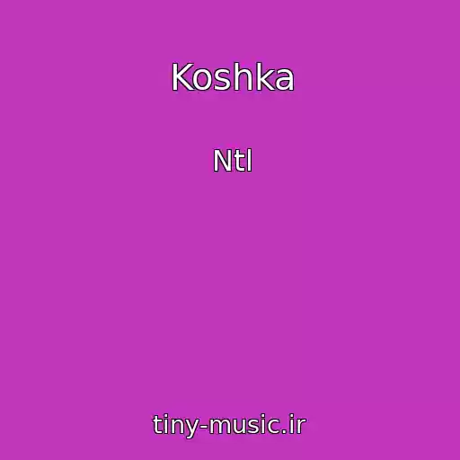 کاور آهنگ Koshka از Ntl