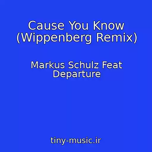 کاور آهنگ Cause You Know (Wippenberg Remix) از Markus Schulz Feat Departure