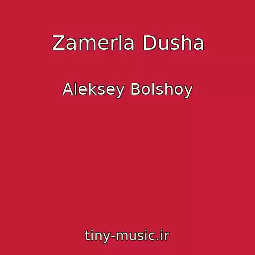 کاور آهنگ Zamerla Dusha از Aleksey Bolshoy