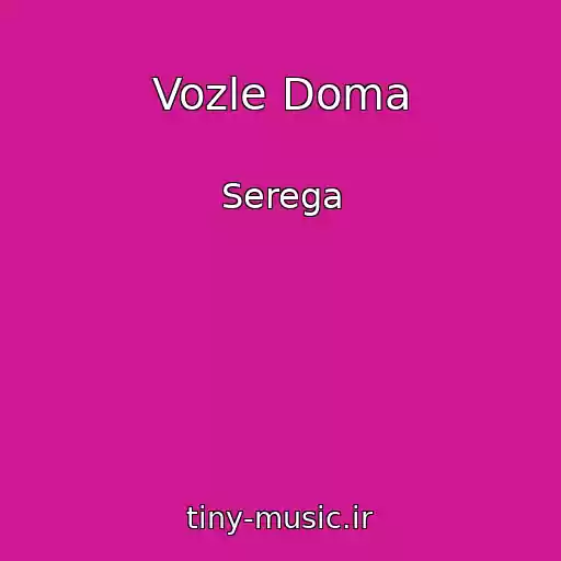 کاور آهنگ Vozle Doma از Serega
