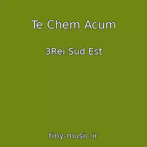 کاور آهنگ Te Chem Acum از 3Rei Sud Est