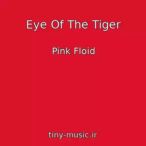 کاور آهنگ Eye Of The Tiger از Pink Floid