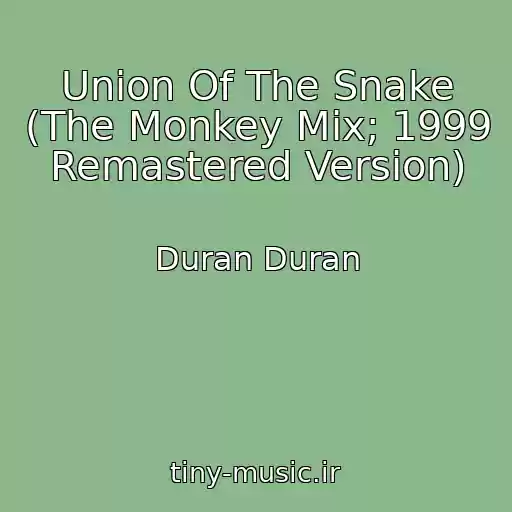 کاور آهنگ Union Of The Snake (The Monkey Mix; 1999 Remastered Version) از Duran Duran