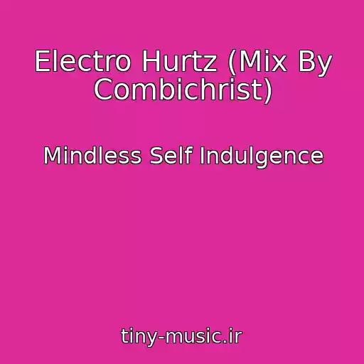 کاور آهنگ Electro Hurtz (Mix By Combichrist) از Mindless Self Indulgence