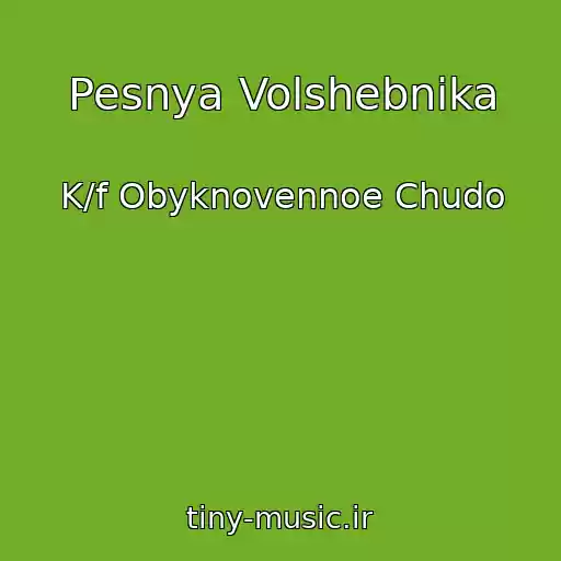 کاور آهنگ Pesnya Volshebnika از K/f Obyknovennoe Chudo