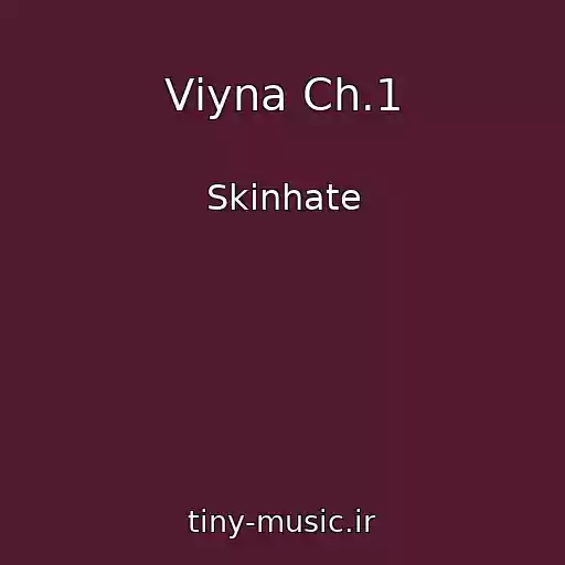 کاور آهنگ Vіyna Ch.1 از Skinhate