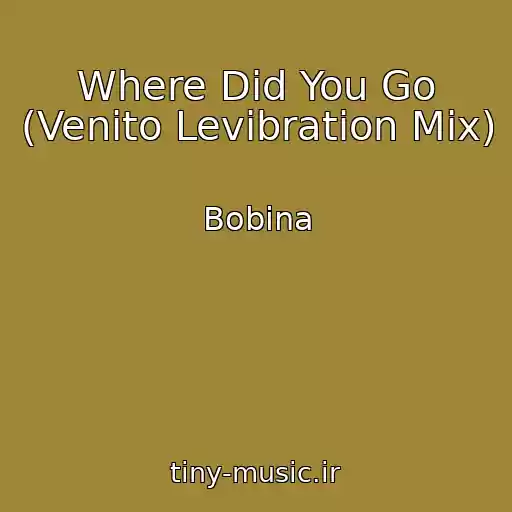 کاور آهنگ Where Did You Go (Venito Levibration Mix) از Bobina