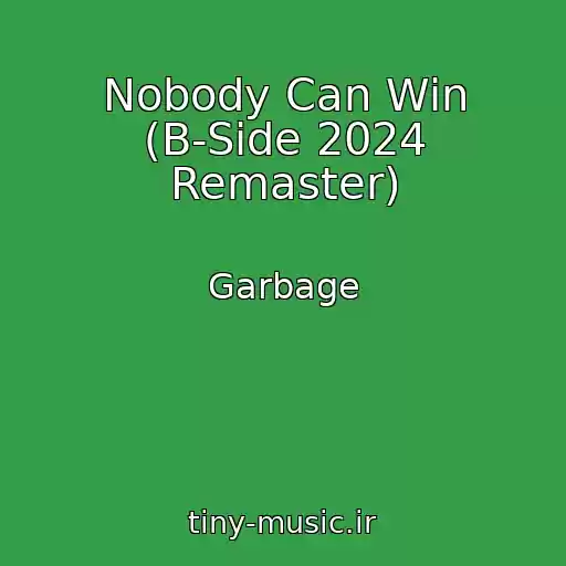 کاور آهنگ Nobody Can Win (B-Side 2024 Remaster) از Garbage