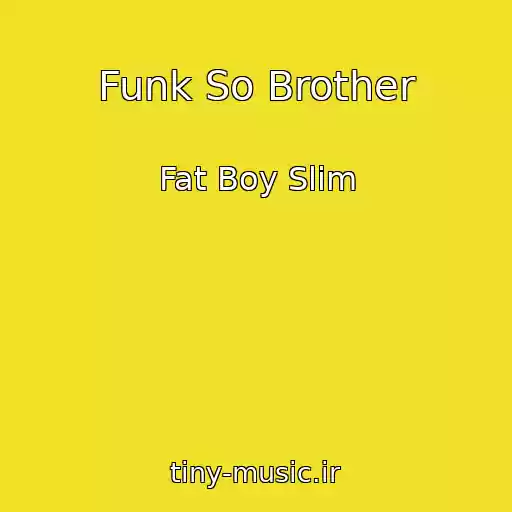 کاور آهنگ Funk So Brother از Fat Boy Slim