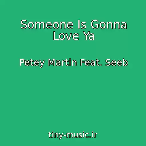 کاور آهنگ Someone Is Gonna Love Ya از Petey Martin Feat. Seeb