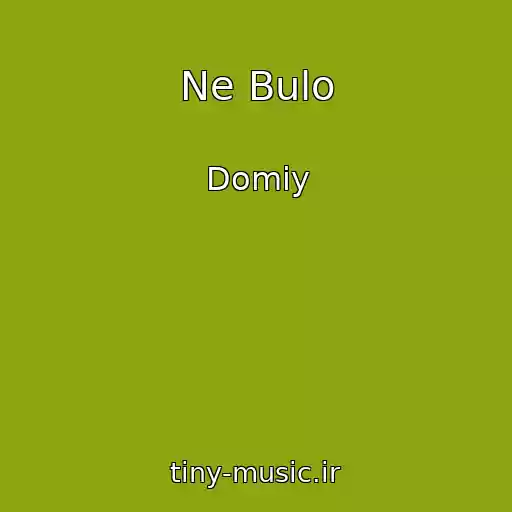 کاور آهنگ Ne Bulo از Domiy