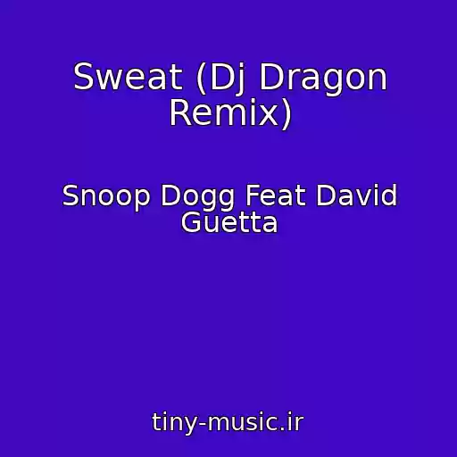 کاور آهنگ Sweat (Dj Dragon Remix) از Snoop Dogg Feat David Guetta