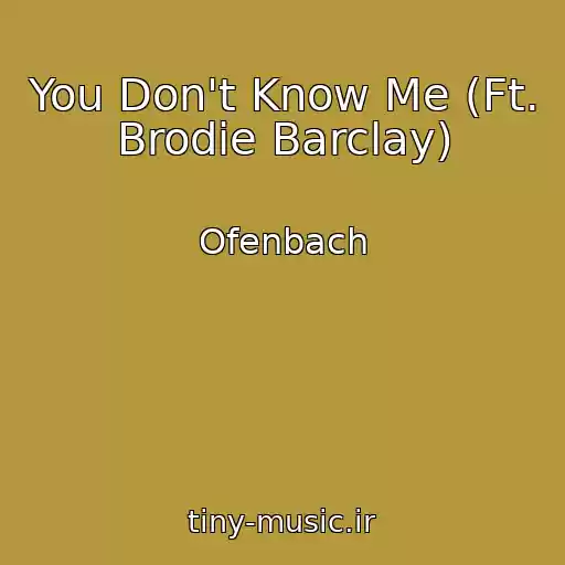 کاور آهنگ You Don't Know Me (Ft. Brodie Barclay) از Ofenbach