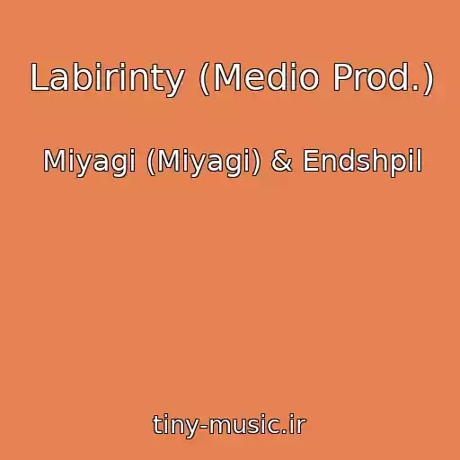 کاور آهنگ Labirinty (Medio Prod.) از Miyagi (Miyagi) & Endshpil