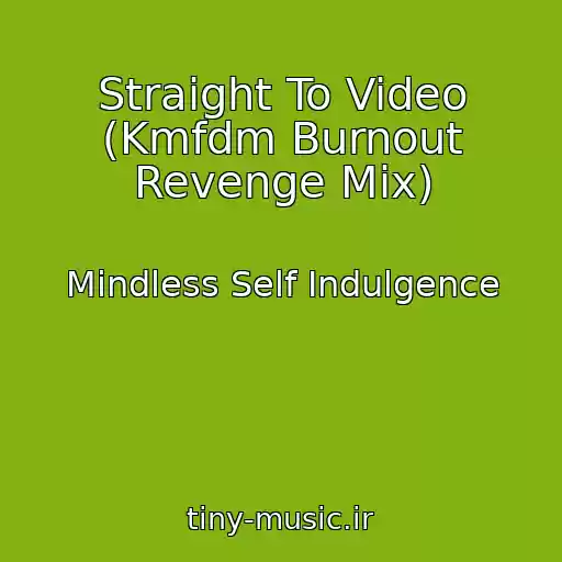 کاور آهنگ Straight To Video (Kmfdm Burnout Revenge Mix) از Mindless Self Indulgence