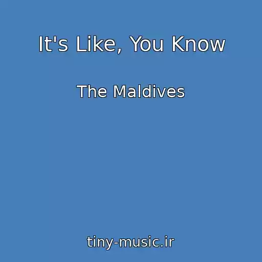 کاور آهنگ It's Like, You Know از The Maldives