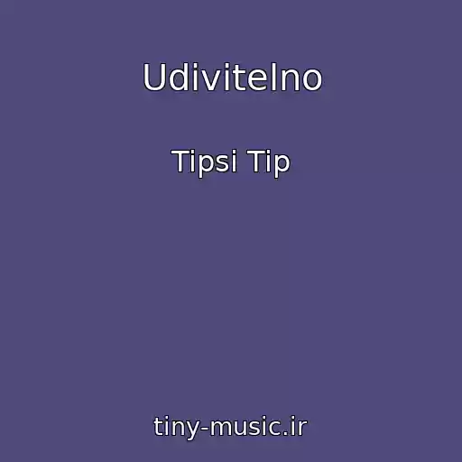 کاور آهنگ Udivitelno از Tipsi Tip