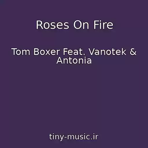 کاور آهنگ Roses On Fire از Tom Boxer Feat. Vanotek & Antonia