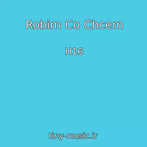 کاور آهنگ Robim Co Chcem از H16