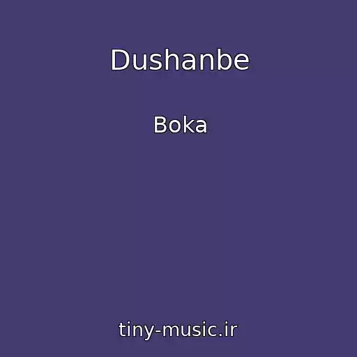 کاور آهنگ Dushanbe از Boka