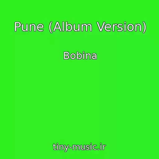 کاور آهنگ Pune (Album Version) از Bobina