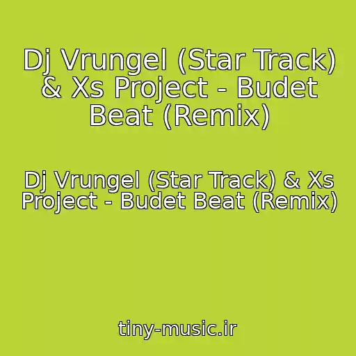 کاور آهنگ Dj Vrungel (Star Track) & Xs Project - Budet Beat (Remix) از Dj Vrungel (Star Track) & Xs Project - Budet Beat (Remix)
