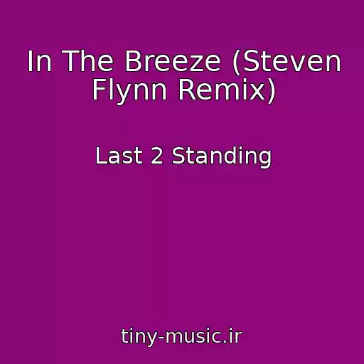 کاور آهنگ In The Breeze (Steven Flynn Remix) از Last 2 Standing