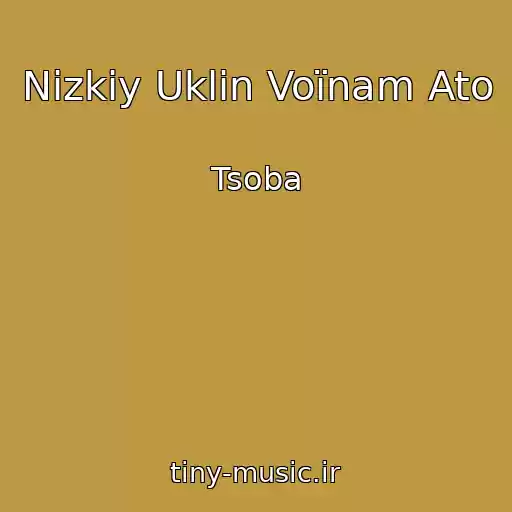 کاور آهنگ Nizkiy Uklіn Voїnam Ato از Tsoba