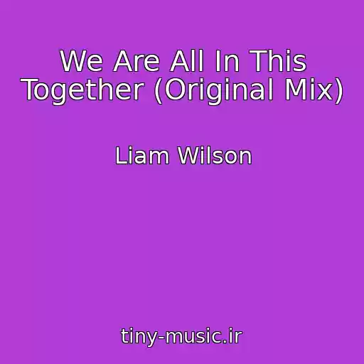 کاور آهنگ We Are All In This Together (Original Mix) از Liam Wilson