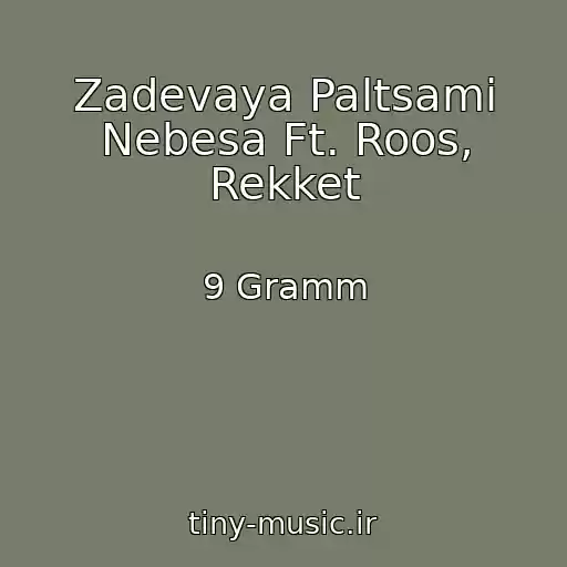 کاور آهنگ Zadevaya Paltsami Nebesa Ft. Roos, Rekket از 9 Gramm