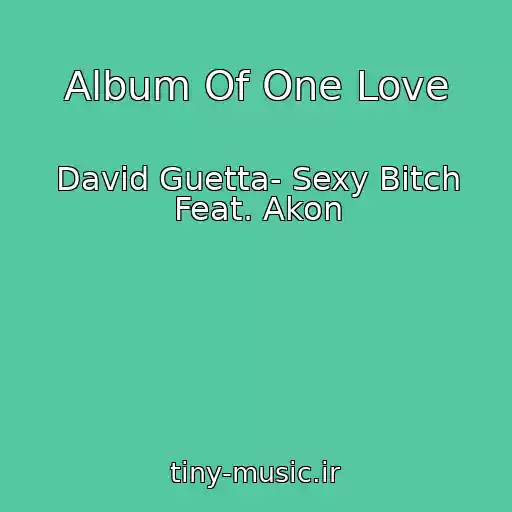کاور آهنگ Album Of One Love از David Guetta- Sexy Bitch Feat. Akon