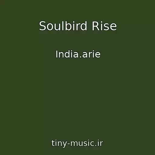 کاور آهنگ Soulbird Rise از India.arie