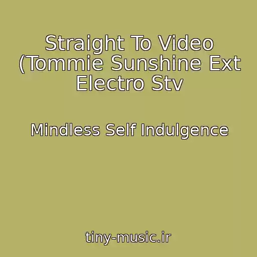کاور آهنگ Straight To Video (Tommie Sunshine Ext Electro Stv از Mindless Self Indulgence
