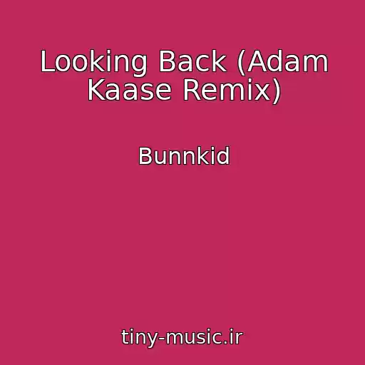 کاور آهنگ Looking Back (Adam Kaase Remix) از Bunnkid