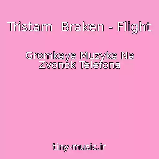 کاور آهنگ Tristam  Braken - Flight از Gromkaya Muzyka Na Zvonok Telefona
