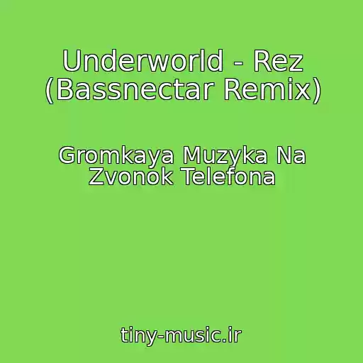 کاور آهنگ Underworld - Rez (Bassnectar Remix) از Gromkaya Muzyka Na Zvonok Telefona