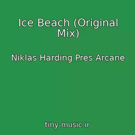 کاور آهنگ Ice Beach (Original Mix) از Niklas Harding Pres Arcane