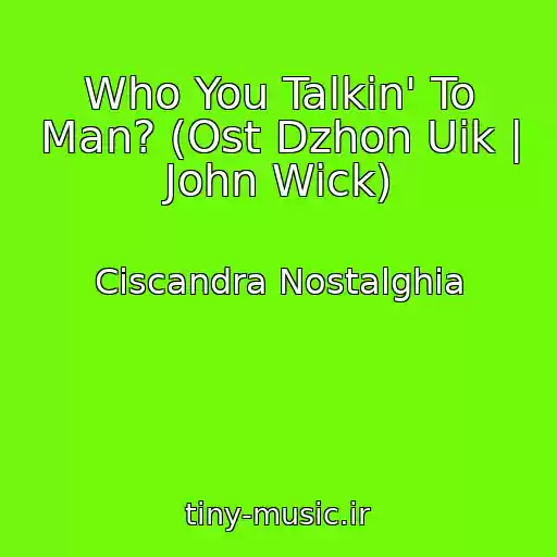 کاور آهنگ Who You Talkin' To Man? (Ost Dzhon Uik | John Wick) از Ciscandra Nostalghia