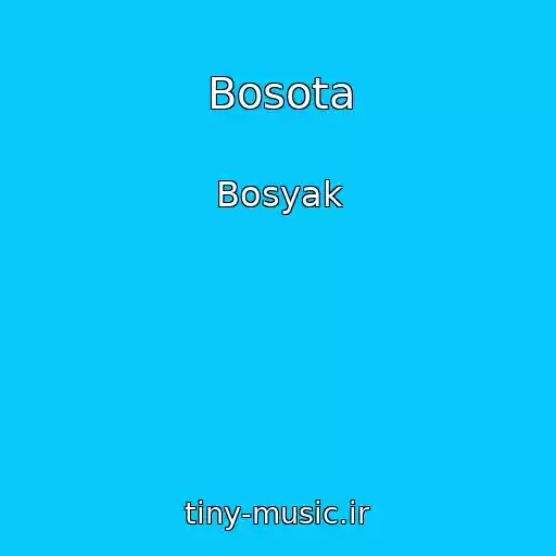 کاور آهنگ Bosota از Bosyak