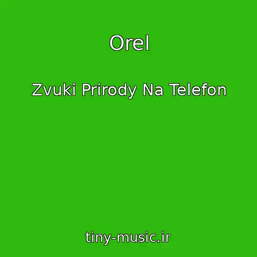 کاور آهنگ Orel از Zvuki Prirody Na Telefon