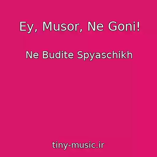 کاور آهنگ Ey, Musor, Ne Goni! از Ne Budite Spyaschikh