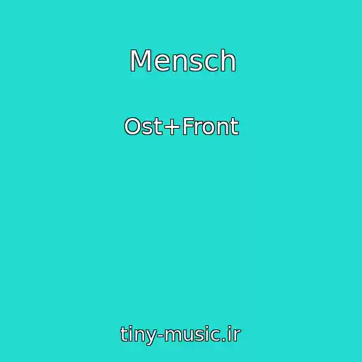 کاور آهنگ Mensch از Ost+Front