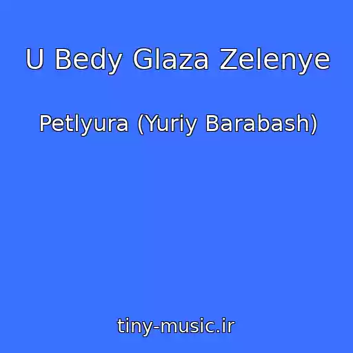 کاور آهنگ U Bedy Glaza Zelenye از Petlyura (Yuriy Barabash)