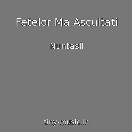 کاور آهنگ Fetelor Ma Ascultati از Nuntasii