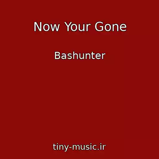 کاور آهنگ Now Your Gone از Bashunter