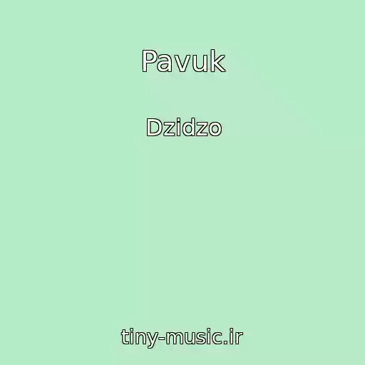 کاور آهنگ Pavuk از Dzidzo