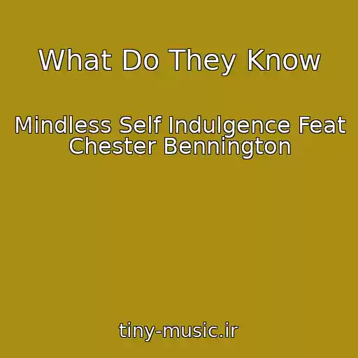 کاور آهنگ What Do They Know از Mindless Self Indulgence Feat Chester Bennington