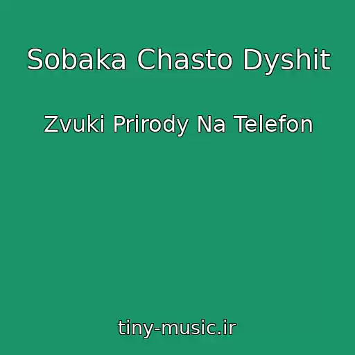 کاور آهنگ Sobaka Chasto Dyshit از Zvuki Prirody Na Telefon